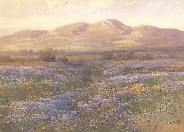 unknow artist Lupine in Kern County